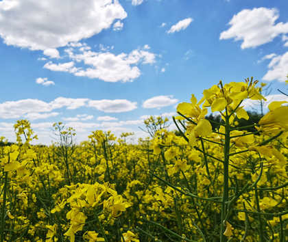 ПАРКУРС